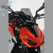 ERMAX KAWASAKI Z1000 2014/2020 21cm競速款運動風鏡 透明、茶色、灰色