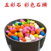 【珍愛頌】N820 五彩石 彩色石頭 好運石 500g 彩石 油彩石 魚缸底砂 水族鋪缸 多肉 盆栽鋪面 園藝造景