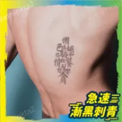 【Dream Ink】漸黑刺青貼：七大罪 W055 果膠紋身改良版 逼真不反光 紋身貼紙 暫時刺青 TATTOO