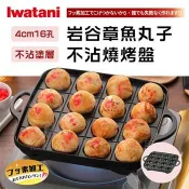 【Iwatani岩谷】新章魚丸子不沾章魚燒烤盤-16孔 (CB-A-TKP)