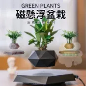 懸浮盆栽【黑科技】磁浮盆栽 磁浮花盆 懸浮花盆  辦公室潮物 小花盆 漂浮盆栽 漂浮花盆