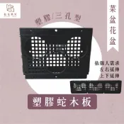 【拈花微笑】塑膠蛇木板｜三孔型｜蘭花板｜植生板｜可置放網盆｜適用石斛｜蘭花｜蕨類｜附生植物