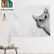 🚛台灣發出🚛背景布 掛布 背景裝飾 拍照絲綢布 絲光綢緞布 絲緞布 絲綢布 拍照 絲光布 綠幕 攝影布幕 長絨毛布