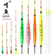【周記】啃魚跑鉛浮標 跑鉛標 奈米浮標 KY系列 龍系列 自立標 水中自立 池釣標 烏魚 豆仔魚等可用 單入