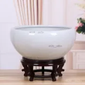 景德鎮陶瓷碗蓮盆 魚缸缸 睡蓮荷花盆 一葉蓮水培銅錢草陽臺養魚盆 景觀盆 風水缸