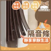 【可接急單 隔日到貨】 門縫隔音條 隔音條 門縫條 大門隔音條