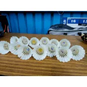 二手羽毛球 Volar-30 超力X-280 橫空5號 無標 堪用球 都還能打 最多斷一根 13顆/筒