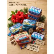 日本空運 境內 沖繩shisa風獅爺紀念鐵盒薄荷糖(16G)共三款