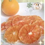 🐹歐麻手工 天然 柳丁乾 天然無添加 兔子/天竺鼠/蜜袋 寵物零食 水果