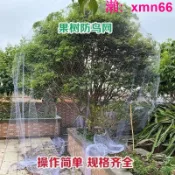 寶承齊百貨 果樹防蟲網罩果園防鳥網櫻桃樹葡萄果園櫻桃園魚塘農田網草莓防護