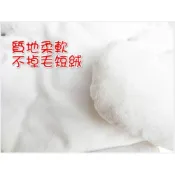 (店+)MOMO媽咪 台灣出貨免運 嬰兒推車保護墊 汽車座椅坐墊 身體保護墊 推車坐墊 安全坐椅墊 推