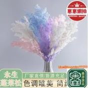 【1好評永蓬萊松鮮花材雪松產輕奢花客廳花材婚慶插花