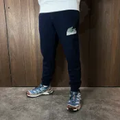 美國百分百【全新真品】Lacoste 長褲 毛巾布 棉質 運動褲 鱷魚 長棉褲 logo 深藍 CX25