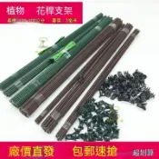 🔥臺灣出貨 蝴蝶蘭植物支架 3mm園藝支撐桿附花卉固定夾 藤蔓爬藤蘭花金錢樹天堂鳥盆栽固定用 30至100cm可選