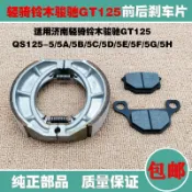 雲渡小鋪 機車配件 適用濟南輕騎駿馳gt125/qs125-5/c/e/g前後煞車皮碟煞片蹄塊