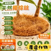 🧊厝邊什物🧊天然椰棕絲 園藝花盆鋪面椰絲 盆栽蓋面裝飾 椰殼絲造景材料 鳥窩填充園藝用品