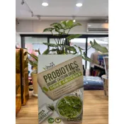 好市多代購  米森好菌搖搖有機兒茶素綠茶 一盒30包