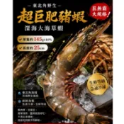 🏆【巨無霸登場•台灣野生肥豬蝦】深海巨型大海草蝦 🦐約 145g ±10%/隻🔥生鮮等級🔥手臂蝦/黑虎蝦/肥豬蝦/海草蝦