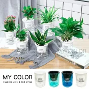 Mycolor 花盆 盆栽 透明花盆 塑膠盆 蓄水花盆 懶人花盆 塑料花盆 自動吸水 透明圓形 水培花盆 樹脂花盆 多肉植物花盆 水培花盆 水耕植物 懶人 自吸水花盆♚MY COLOR♚【M118】