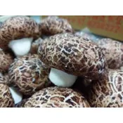 珍菇流沙包(黑芝麻)10粒／港式點心／蒸籠／電鍋料理／團購／冷凍食品