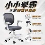 【居家cheaper】小小學霸全煞舒踏升降椅 Y08 秘書椅 電腦椅 辦公椅 閱讀椅 低背 會議椅