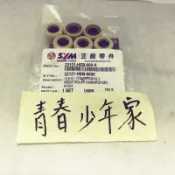 《少年家》 SYM 三陽 原廠 HEB 普利珠 VEGA  悍將 Fighter 戰將150 GT EVO