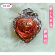 【🇹🇭泰國翻譯】阿贊Best    九尾愛情花