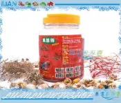 【魚店亂亂賣】魚漾鮮-揚色超豔特級飼料(小粒)1kg花羅漢.血鸚鵡.加強增艷飼料