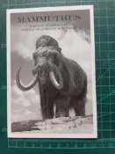 明信片- 空白明信片 長毛象系列 猛瑪象 共二張