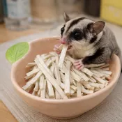 🐾 倉鼠・松鼠・蜜袋鼯 原味魚絲