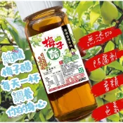 🫒信義鄉小農➰梅子醋🍹
