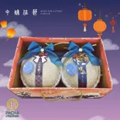 【帕查嬤嬤】日本品種 瓜中之王 阿露斯 溫室網紋綠肉 哈密瓜 兩顆禮盒｜阿露斯哈密瓜禮盒