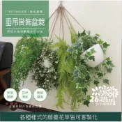懸掛式盆栽❤️亞馬遜叢林風格❤️擬真植物 仿真藤蔓盆栽 藤蔓盆栽 客廳 假植物 落地盆栽 仿真蕨類 吊掛植物 吊掛假植物