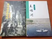 【兩手書坊】文學~《竹田明雄的年代+天鵝湖》~費啟宇 著~共2本~A1
