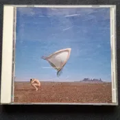 小紅莓合唱團 The Cranberries Bury The Hatchet 西洋 二手CD