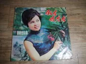 黑膠唱片 合眾唱片 美黛 唱 我在你左右,202403,sp2308