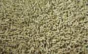 【優寵物】加拿大苜蓿粒/苜蓿草粒(直徑約5mm)〔30公斤賣場〕牧草粒/兔子飼料/兔飼料/天竺鼠/陸龜/羊/馬/牛飼料