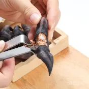 🔥臺灣嚴選🔥剝菱角神器生菱角剝殻器熟菱角撥殻器菱角剝殻夾子剝菱角皮的工具熱賣精品💋