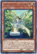 主流 LVP1-JP078 INOV-JP031 芳香熾天使-歐白芷 (普卡)
