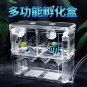 【魚缸隔離盒】孔雀魚繁殖盒 熱帶魚產房 非亞克力 幼魚小魚苗孵化盒 缸內隔離盒 孔雀魚隔離盒 魚缸配件 活體魚繁殖箱