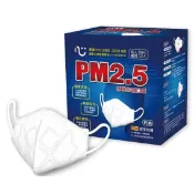 公司貨附發票【匠心】PM2.5 B級 單片裝防霾口罩 12入/盒