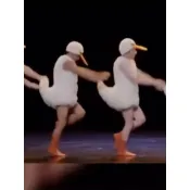 🔥桃園出貨🔥四小天鵝男搞笑成人年會舞演出服裝男芭蕾表演服天鵝湖舞搞怪服裝