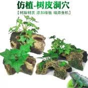 免運🔥寄居蟹專用沙天然墊材珊瑚沙菲律賓沙原生貝殼砂三湖慈鯛底砂魚缸造景高鈣潔淨爬寵飼養底沙無雜質