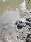 洄瀾熊貓小舖 特產 花蓮 吉安土 田土