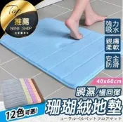 《台灣現貨 珊瑚絨地墊》腳踏墊 防滑墊 記憶棉 吸水地墊 床邊墊 地墊 踏墊 浴室墊