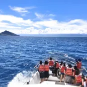 噶瑪蘭號｜賞鯨還龜山島｜宜蘭  賞鯨龜山島｜3T Ticket｜電子票券