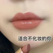 🌸台灣出貨🌸正品肉桂奶茶豆沙色口紅滋潤防水不易掉色霧面啞光素顏顯白黃黑皮