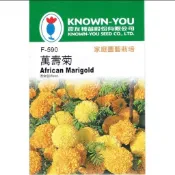愛上種子 萬壽菊【花卉種子】 農友牌 花卉小包裝種子 約60粒/包