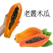 (店+)屏東老叢木瓜 網室木瓜台農2號 5-20台斤 自產自銷(小農產地直銷 木瓜 口感綿密)