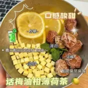 話梅油柑檸檬薄荷茶凍幹油柑果茶夏季冷泡熱泡水果茶酸甜解膩DIY飲品自製